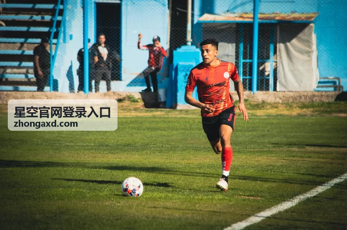 星空官网登录入口短信验证码与安全校验处理示意