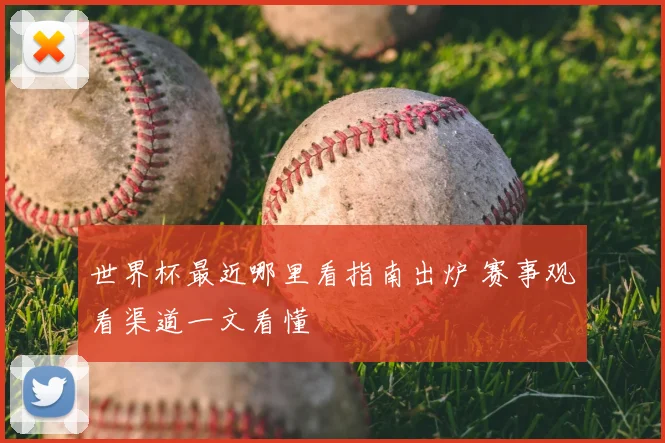 世界杯最近哪里看指南出炉 赛事观看渠道一文看懂