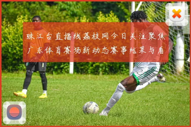 珠江台直播线荔枝网今日关注聚焦广东体育赛场新动态赛事结果与看点同步呈现