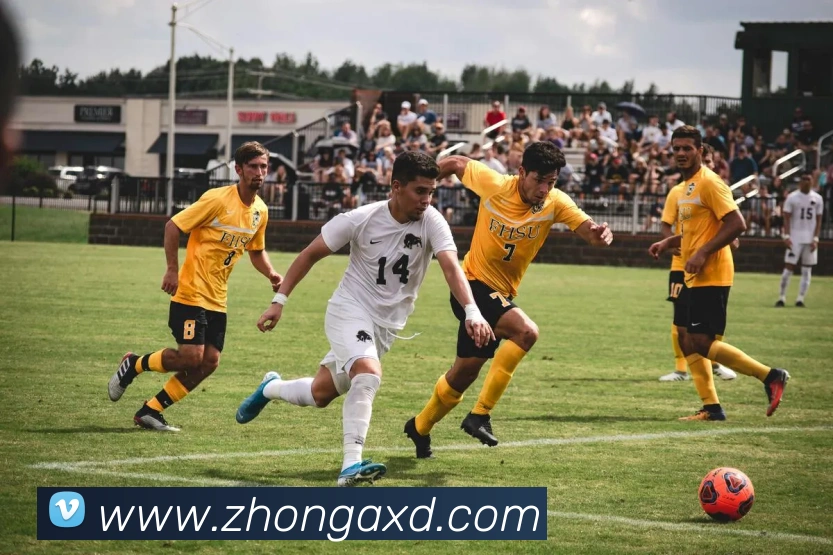 华体会体育官网app赛事直播解说员发展历程